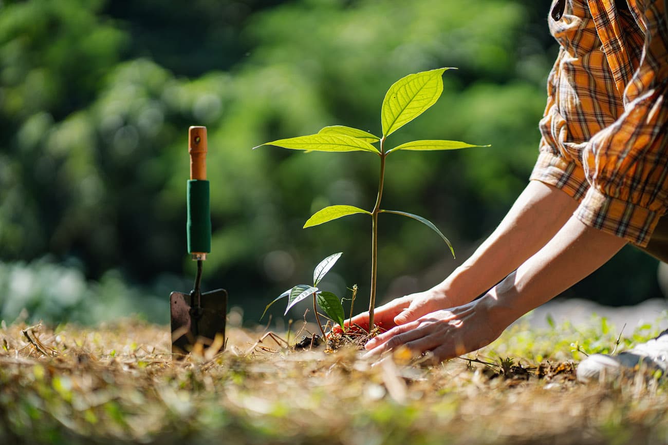 Sustainability Resources for REALTORS®