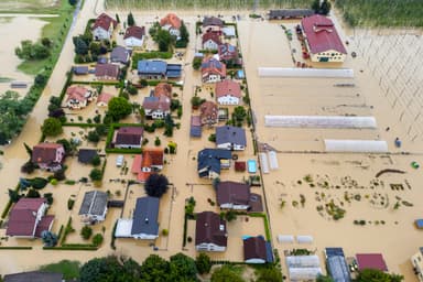 The Economy of Hazards