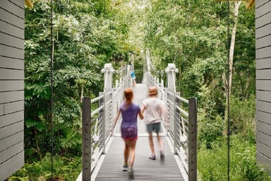 Nature Is Becoming a Critical Element in Building