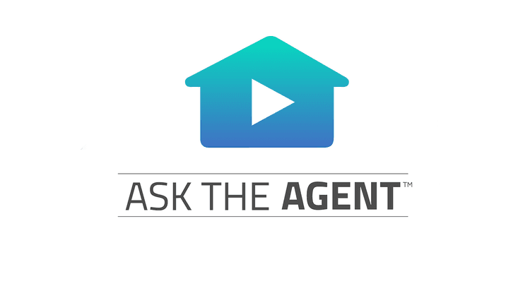 Ask the Agent