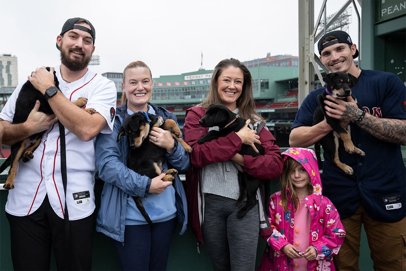 REALTOR® Betsy Herald Cofounds Great Dog Rescue New England, Saving 29,000 Dogs and Supporting Women in Need