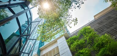 Using ‘Green’ to Your Advantage