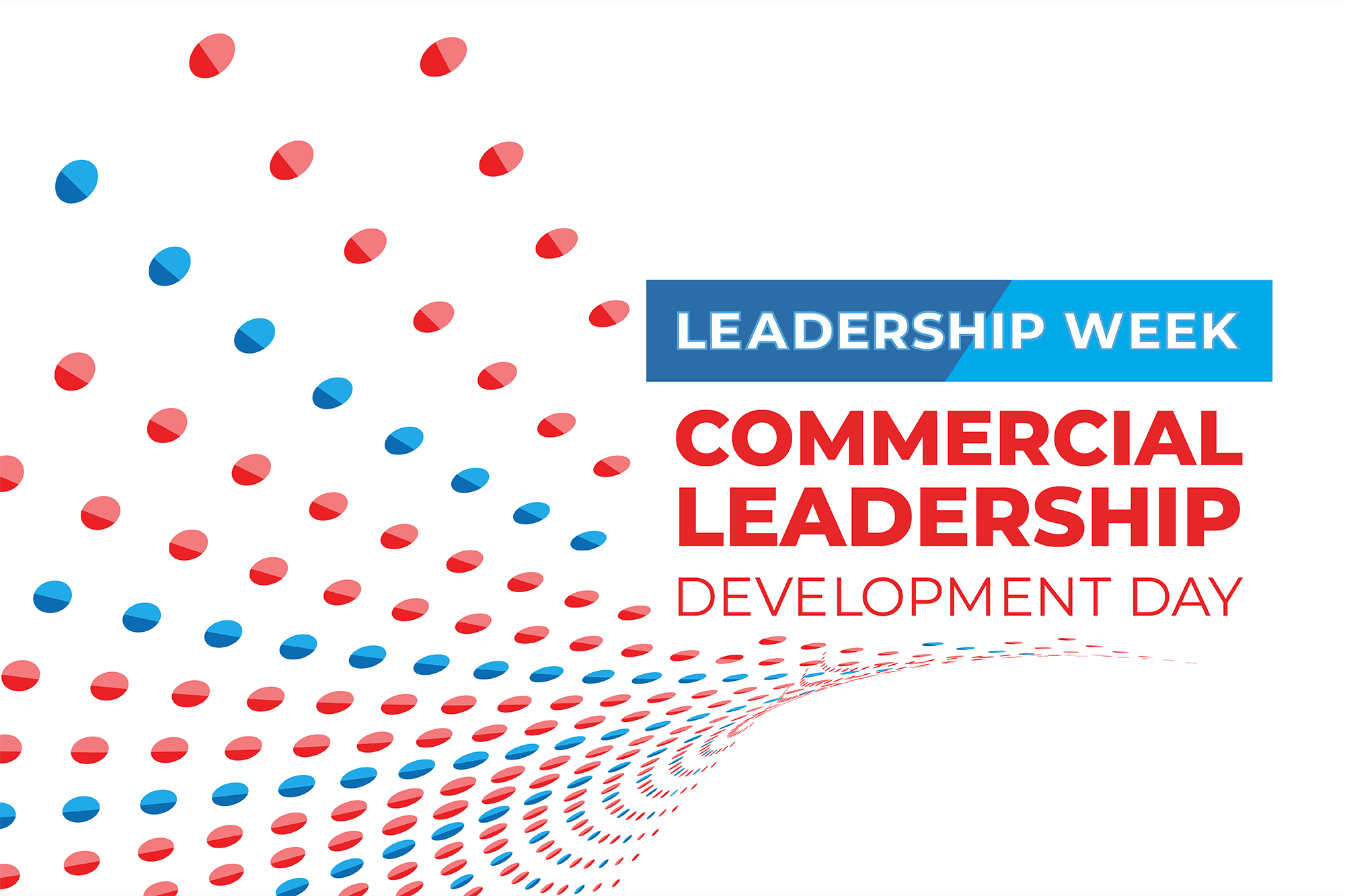 Commercial Leadership Development Day