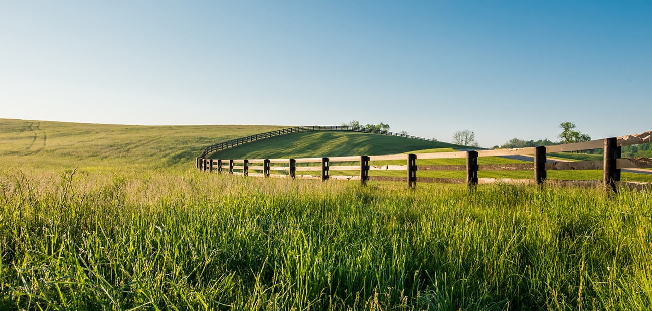 Land Market Demonstrates Price Resilience