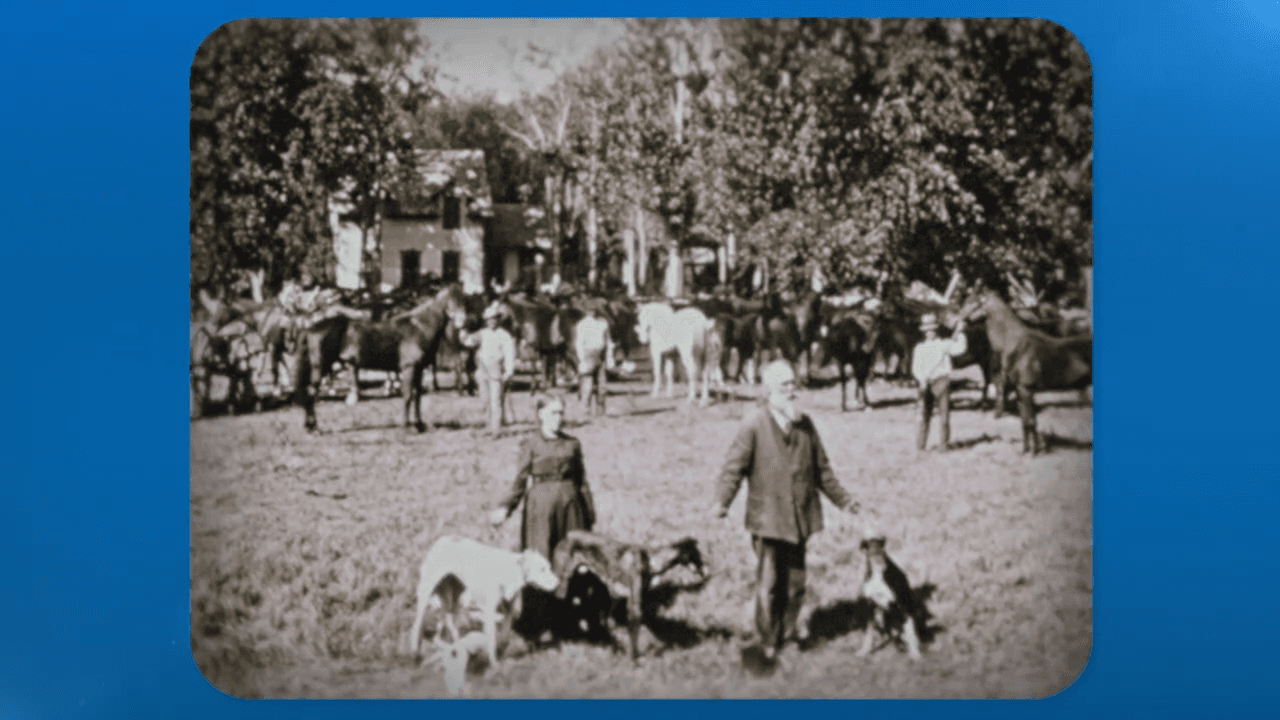 Policies That Shaped the American Dream