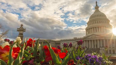 This Year, Be an Advocacy Superstar