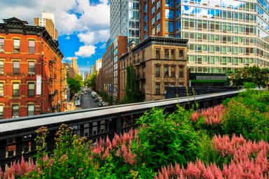 “QOZ” Offers Potential Benefits