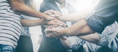 Collaborate, Calm and Connect