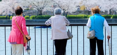 Be Nice to Grandma