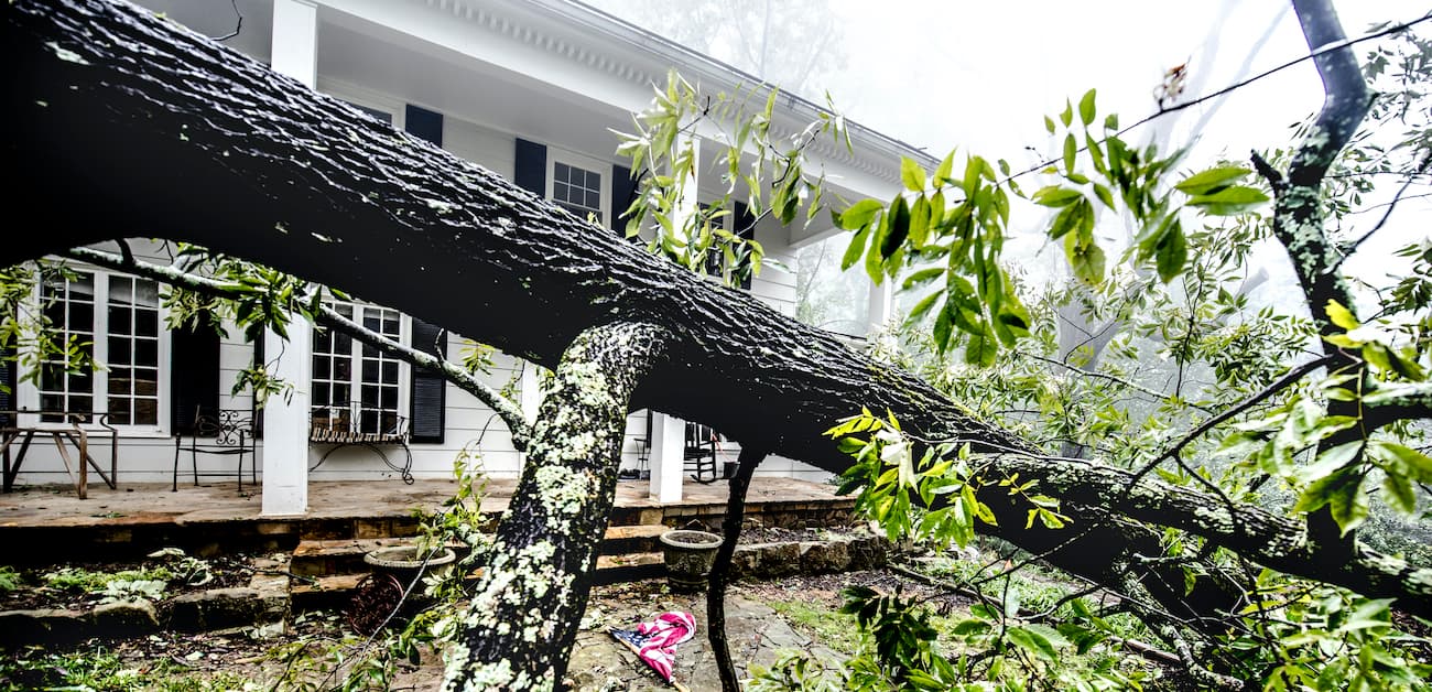 Hazards & Disclosures