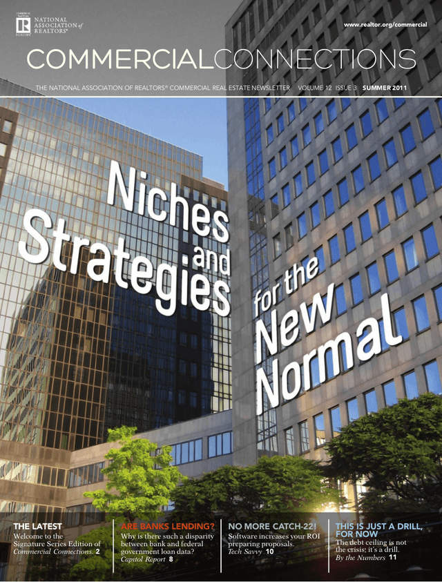 Summer 2011: Niches and Strategies for the New Normal Cover