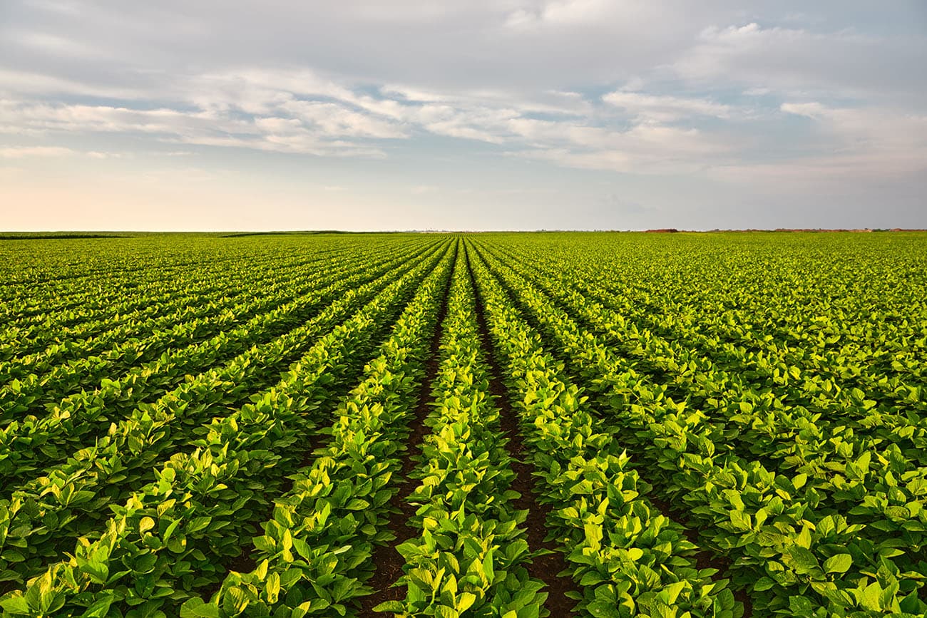 REALTORS® Land Market Survey