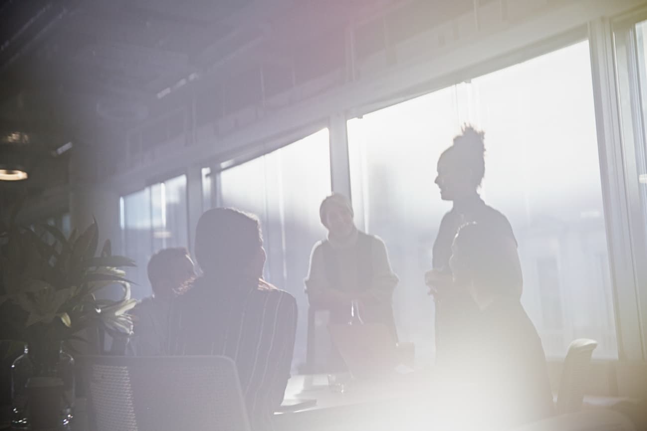 Silhouette of a business woman talking in conference room