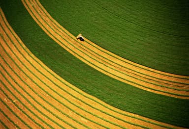 Why Farmland Should Be Part of Asset Allocation