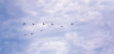 Getting Your Organization Into Alignment