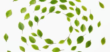 Growing an Inclusive Culture