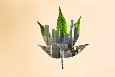 High Times, Low Times