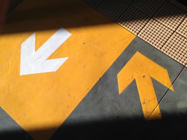 Your Roadmap to Diversity