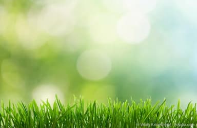 Grass Roots & Grass Tops