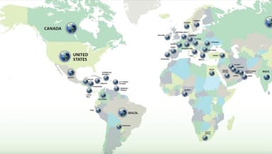 The Typical CIPS Designee