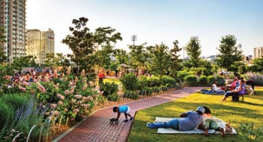 The Undeniable and Enduring Value of Nature