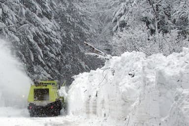 The Time for Local Action