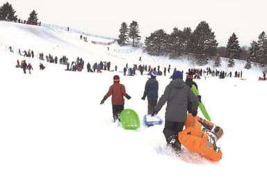 Equitable Park Planning, and the Role of Big Data