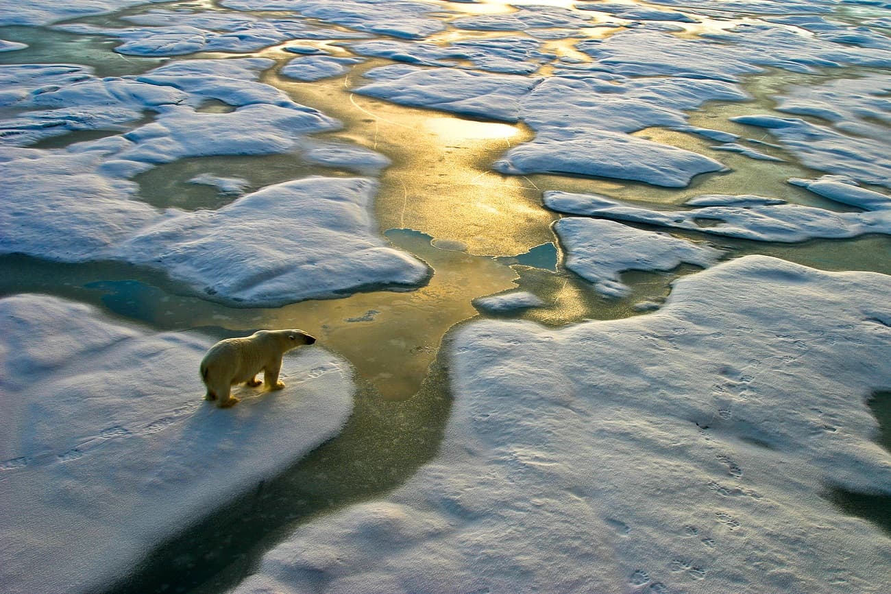 Climate Change