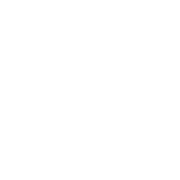 RAMCO M1 Data Transfer Arrows Icon