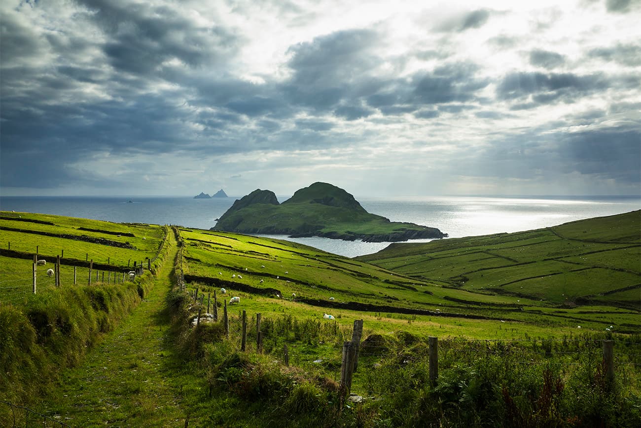 Land Use & Property Rights