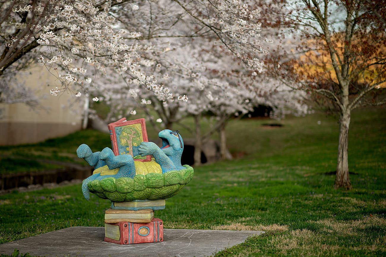 Young Visionaries: Unveiling Townie the Turtle