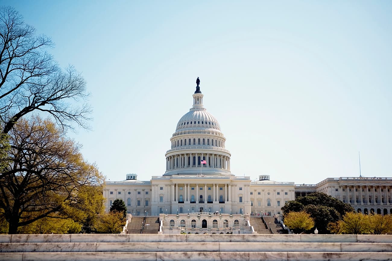 All Federal Issues