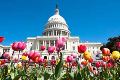 Local Association News