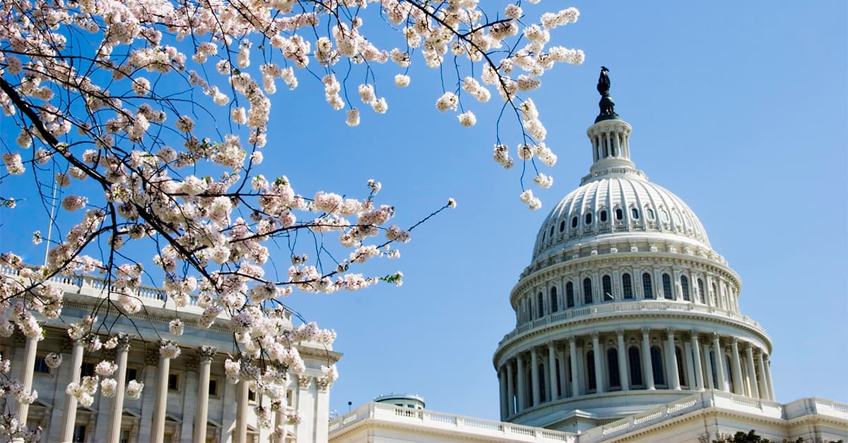 Legislative Victory: Senate Moves Forward on Major Housing Supply Bill