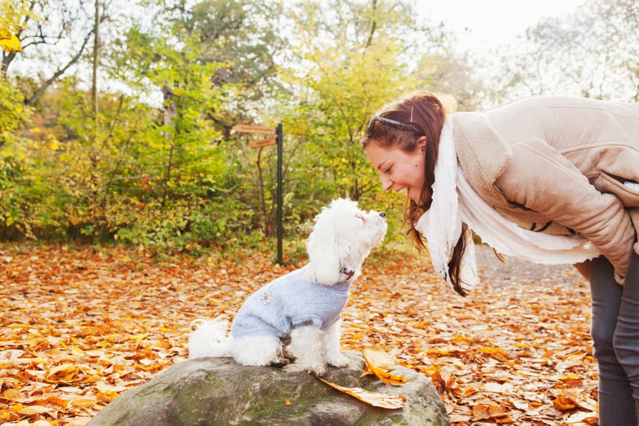Woman looking at dog in forest