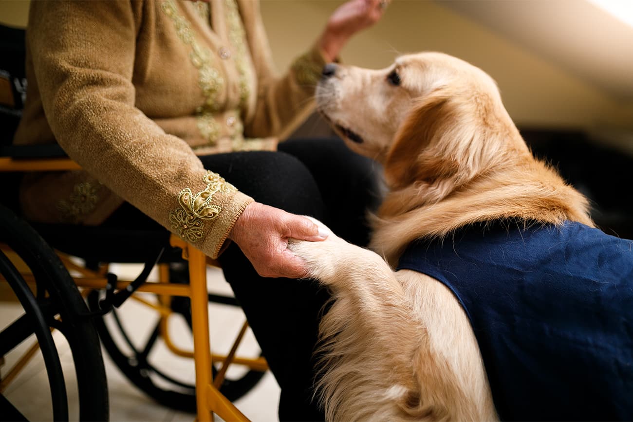 As HUD Moves to Limit Assistance Animal Policy Abuse, Realtors® Applaud Common Sense Reforms