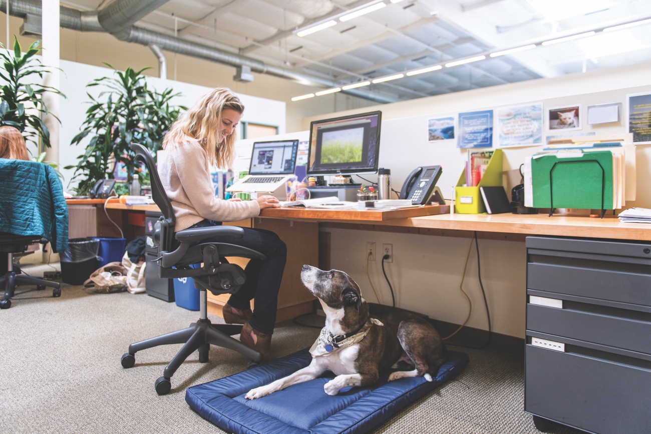 ‘I Need to Bring My Support Dog to the Office’ www.nar.realtor