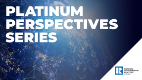 Logo: Platinum Perspectives Logo: Platinum Perspectives