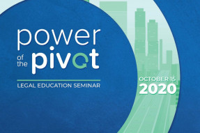 Legal Seminar Power of the Pivot 2020 PDF cover