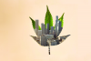 Marijuana leaf with a city super imposed