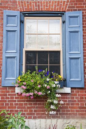 Blue shuttered window with flowers