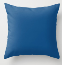 Pantone blue pillow