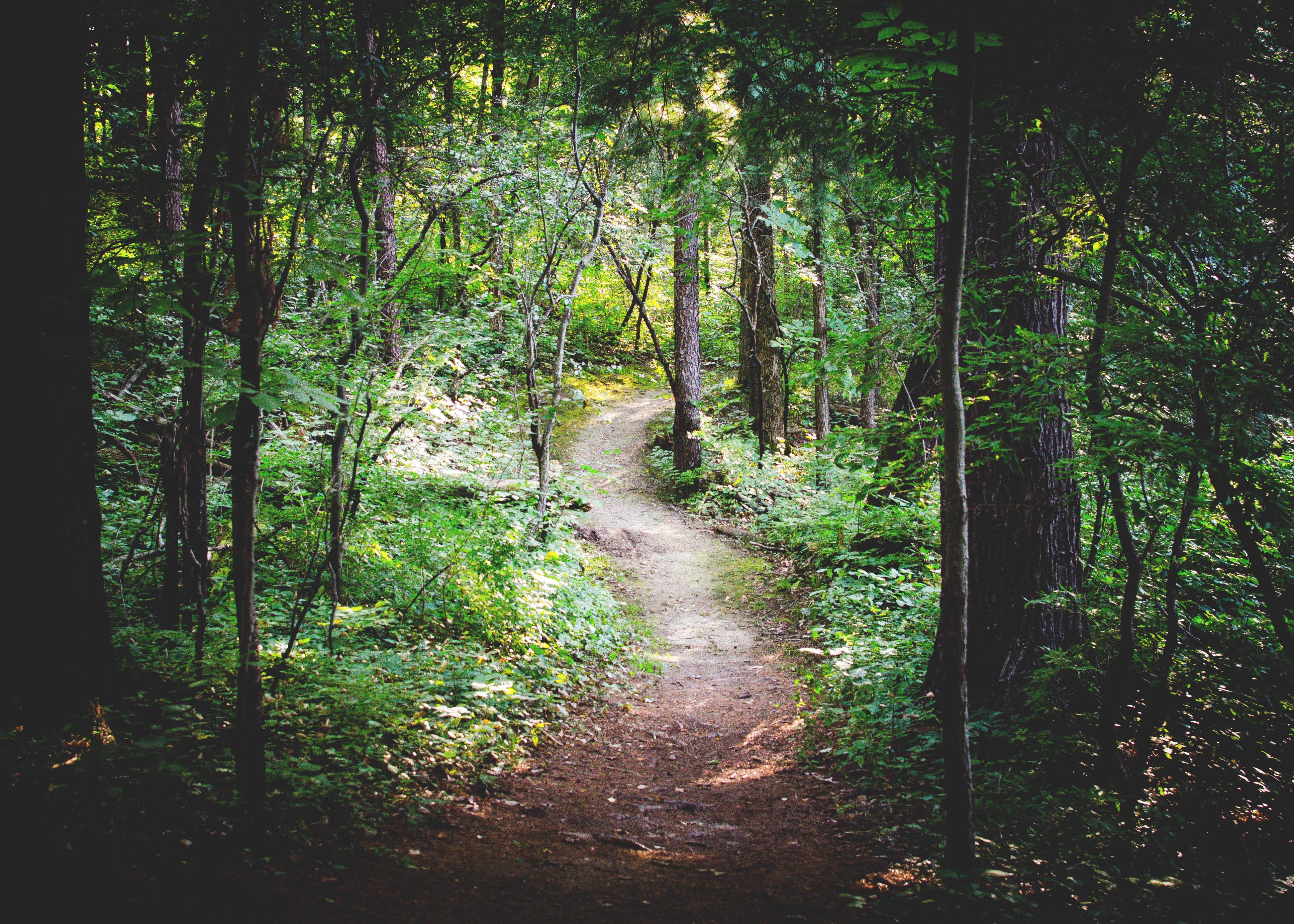 trails-and-greenways